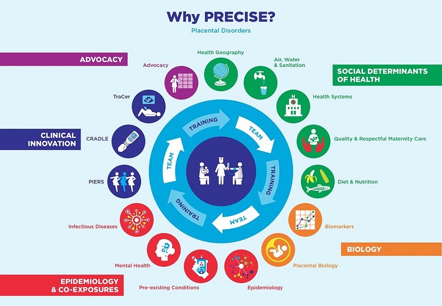 PREgnancy Care Integrating translational science, Everywhere, the PRECISE Network