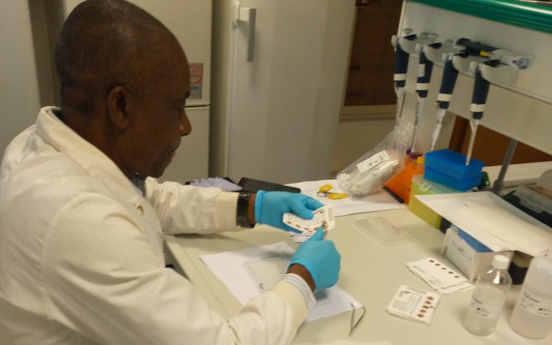Abiodun Alarape’s secondment experience